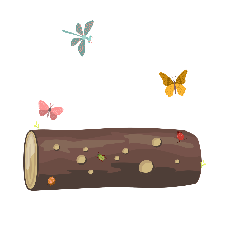 Illustration af insekthotel
